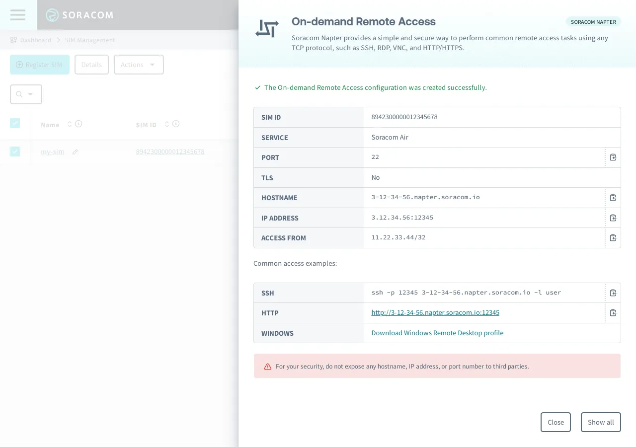 Soracom Napter connection details dialog showing IP address, hostname, and port