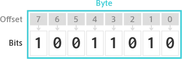 Binary Parser Format Offset