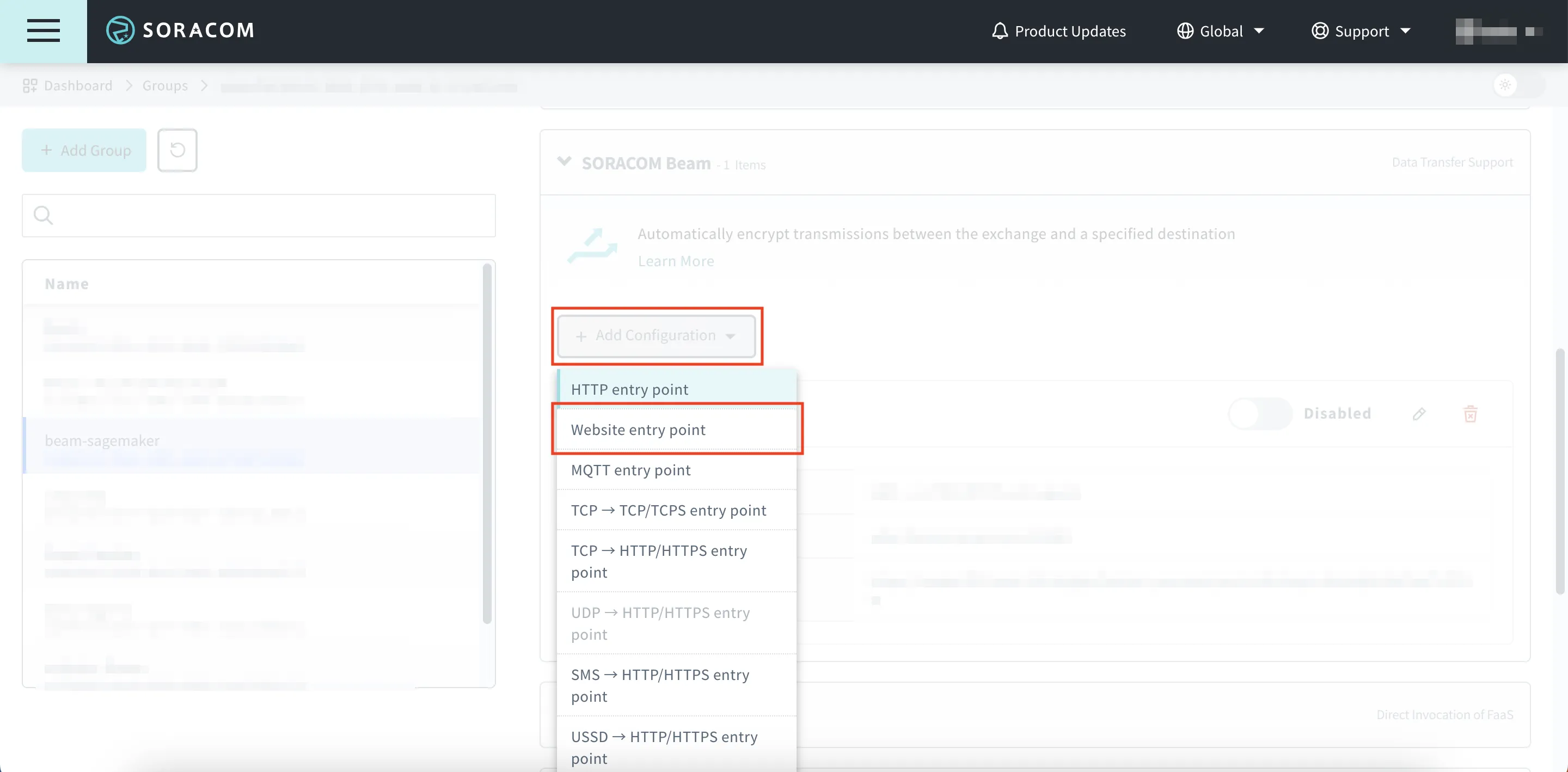 Add Website Entry Point Configuration