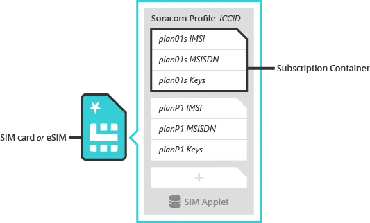 Subscription containers