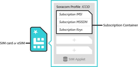 Diagram of relationship between SIM, profiles, and subscriptions
