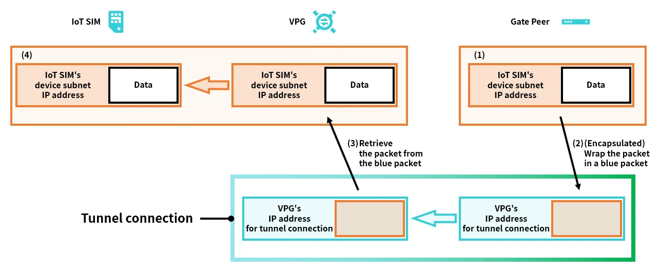 Tunneling Techniques - Packet Schematic Diagram